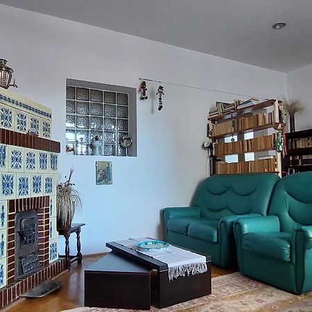 Mirmar - Blumenau Villa Braşov Dış mekan fotoğraf